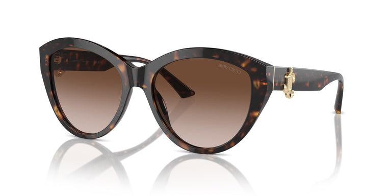 Jimmy Choo JC5007 500213 55