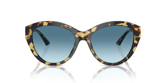 Jimmy Choo JC5007 500419 55