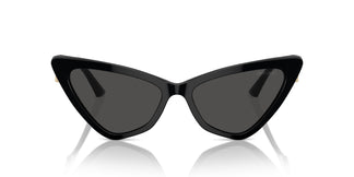 Jimmy Choo JC5008 500087 55