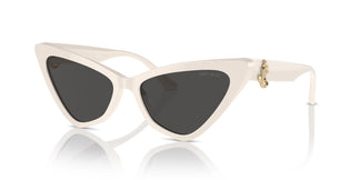 Jimmy Choo JC5008 500887 55