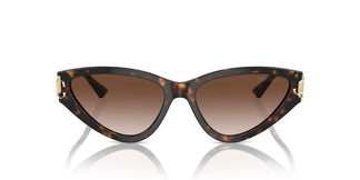 Jimmy Choo JC5019 500213 55