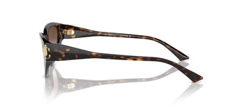 Jimmy Choo JC5019 500213 55