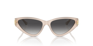 Jimmy Choo JC5019 50258G 55