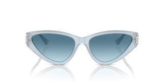 Jimmy Choo JC5019 502619 55