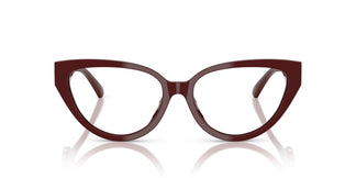 Jimmy Choo JC3023HU 5057 55