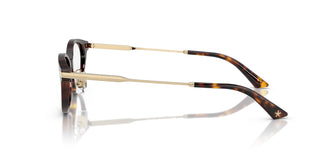 Jimmy Choo JC3029D 5002 52