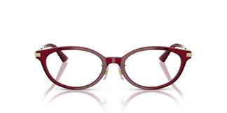 Jimmy Choo JC3029D 5062 52