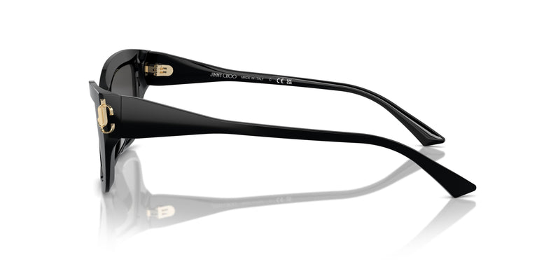 Jimmy Choo JC5011U 500087 55