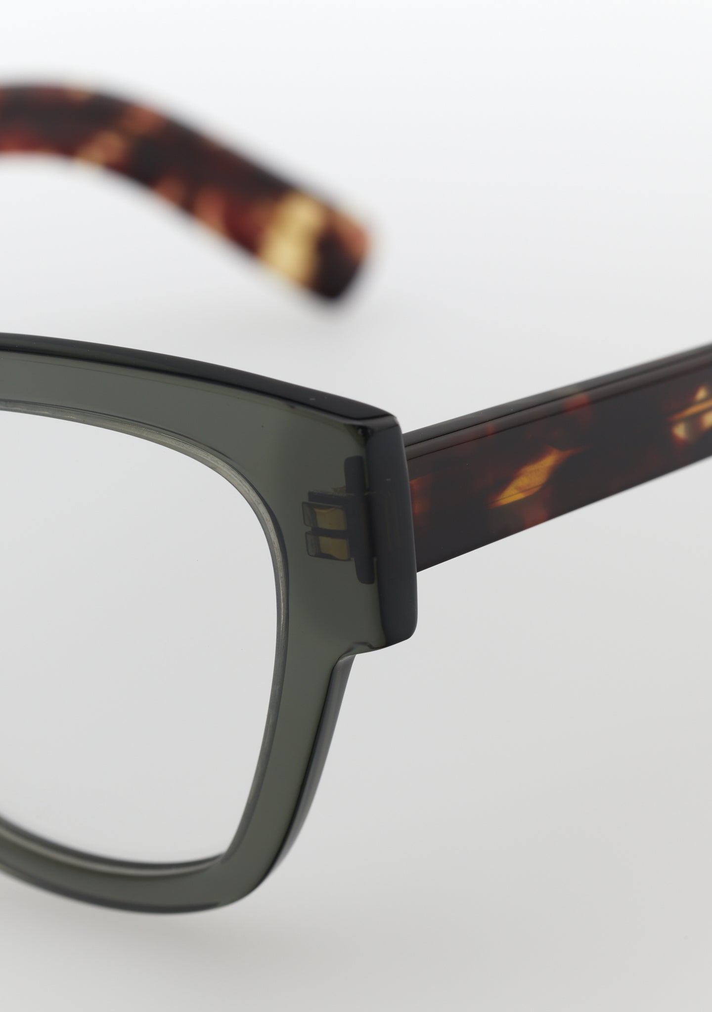 Kaleos Caruso 81224220 51