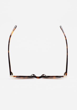 Kaleos Swiney A017304 46