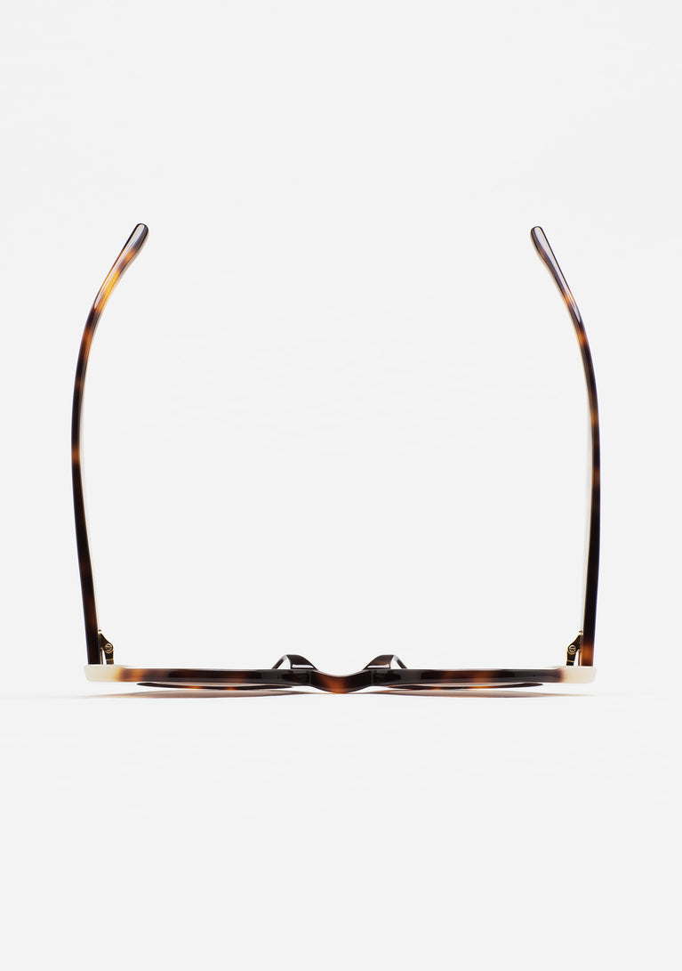 Kaleos Swiney A017304 46