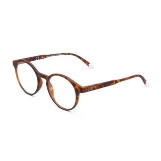 Barner Le Marais Tortoise