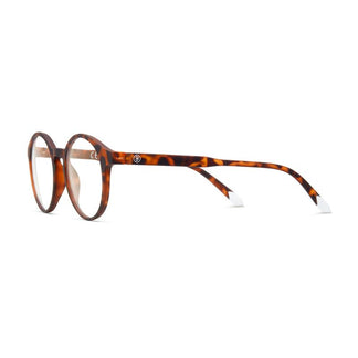Barner Le Marais Tortoise