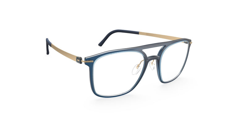 Silhouette Infinity View 2951 EU 4630 55