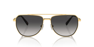 Michael Kors MK1155 WHISTLER 18968G 58