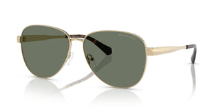 Michael Kors MK1160 BIARRITZ 10143H 59