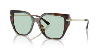 Michael Kors MK2231U ST. BARTHS 3006M1 54