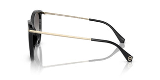 Michael Kors MK2184U DUPONT 30058G 58