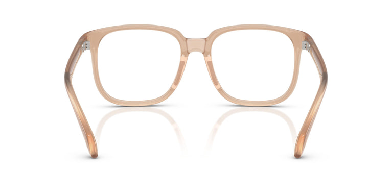 Moncler ME3003 5011 55