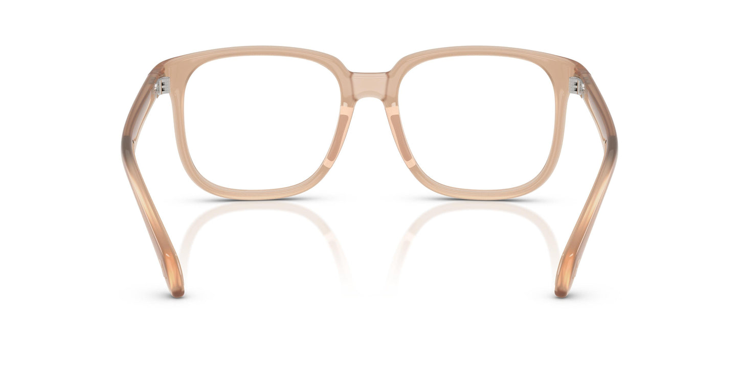 Moncler ME3003 5011 55