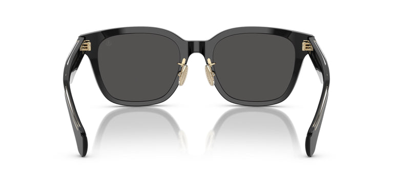 Moncler ME6002D METROPE 300187 54