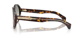 Moncler ME6005 SWANSPAN 30022A 57