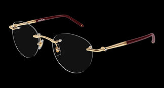 Montblanc MB0244O 003 51