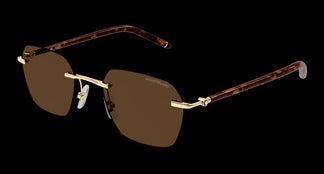 Montblanc MB0270S 004 51