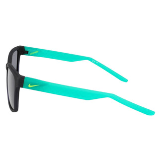 Nike LIVEFREE ICONIC EV24012 011 54