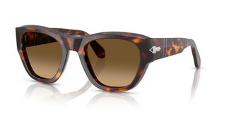 Persol PO0054S 24/M2 53