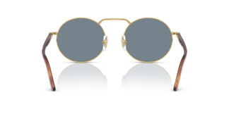 Persol PO1019S 113256 53