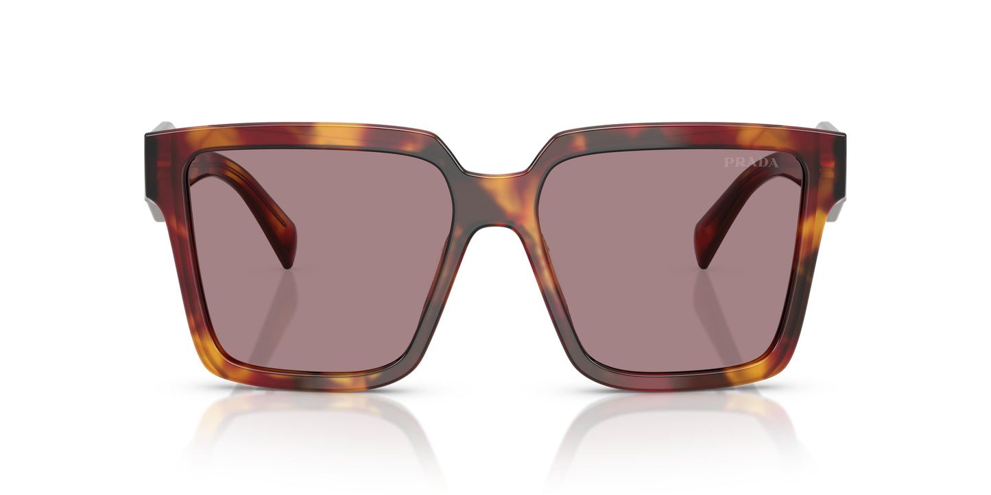 Prada PR 24ZS  22A20I 56