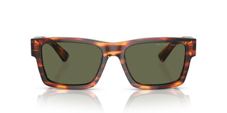 Prada PR 25ZS 16S03R 53