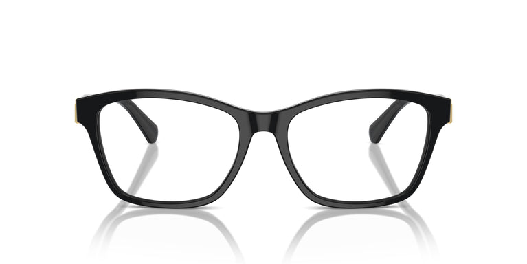 Ralph Lauren RL6243 5001 54