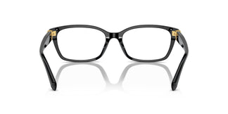Ralph Lauren RL6244U 5001 53