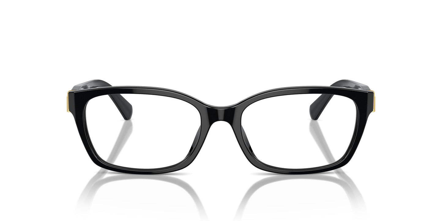 Ralph Lauren RL6244U 5001 53