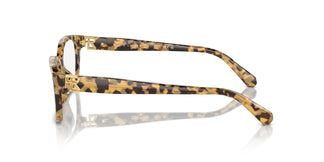 Ralph Lauren RL6244U 6178 53