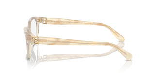 Ralph Lauren RL6244U 6184 53