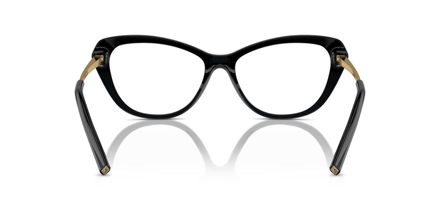 Ralph Lauren RL6245 5001 54