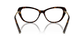 Ralph Lauren RL6245 5003 56