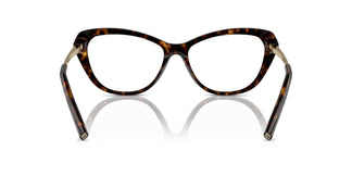Ralph Lauren RL6245 5003 54