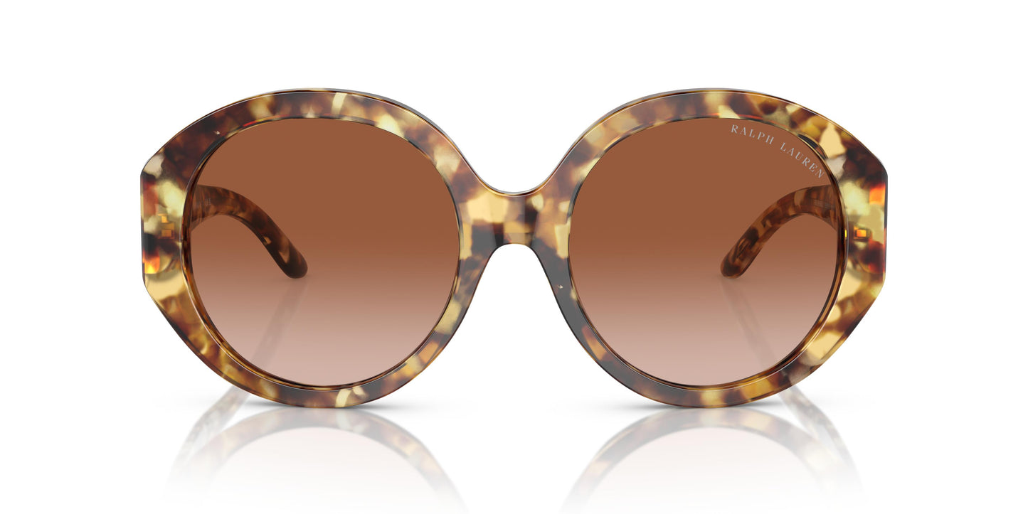 Ralph Lauren RL8188Q 605613 56