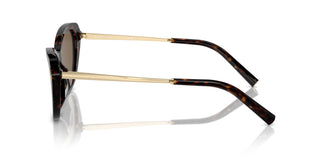 Ralph Lauren RL8224U THE ELLA 500373 57