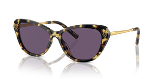 Ralph Lauren RL8224U THE ELLA 50041A 57