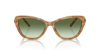 Ralph Lauren RL8224U THE ELLA 53043M 57