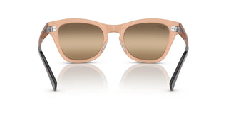 Ray-Ban RB0707SM 6449G7 53