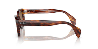 Ray-Ban RB0880S 954/51 49