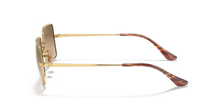 Ray-Ban RB1969 RECTANGLE 91493F 54