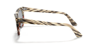 Ray-Ban RB2168 METEOR 1254Y5 50