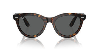 Ray-Ban RB2241 WAYFARER WAY 902/B1 54